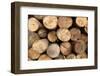 Log Wood Texture Backgrounds-photosoup-Framed Photographic Print