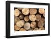 Log Wood Texture Backgrounds-photosoup-Framed Photographic Print