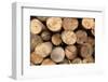 Log Wood Texture Backgrounds-photosoup-Framed Photographic Print