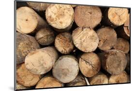 Log Wood Texture Backgrounds-photosoup-Mounted Photographic Print