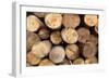 Log Wood Texture Backgrounds-photosoup-Framed Photographic Print