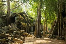 A traditional Thai resort overlooks turquoise water on the tropical island of Koh Tao, Thailand-Logan Brown-Photographic Print