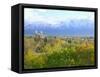 Logan City & Cache Valley at Sunset, Utah, USA-Scott T^ Smith-Framed Stretched Canvas