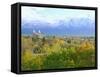 Logan City & Cache Valley at Sunset, Utah, USA-Scott T^ Smith-Framed Stretched Canvas