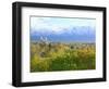 Logan City & Cache Valley at Sunset, Utah, USA-Scott T^ Smith-Framed Photographic Print