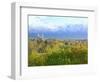 Logan City & Cache Valley at Sunset, Utah, USA-Scott T^ Smith-Framed Photographic Print