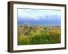 Logan City & Cache Valley at Sunset, Utah, USA-Scott T^ Smith-Framed Photographic Print