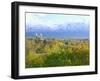 Logan City & Cache Valley at Sunset, Utah, USA-Scott T^ Smith-Framed Photographic Print