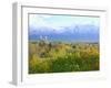 Logan City & Cache Valley at Sunset, Utah, USA-Scott T^ Smith-Framed Photographic Print