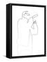 Framed Canvas