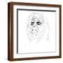 Brown Frame