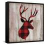 Logan Lodge I-Paul Brent-Framed Stretched Canvas