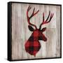 Logan Lodge I-Paul Brent-Framed Stretched Canvas