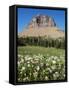 Logan Pass, Glacier National Park, Montana, United States of America, North America-James Hager-Framed Stretched Canvas