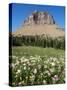 Logan Pass, Glacier National Park, Montana, United States of America, North America-James Hager-Stretched Canvas