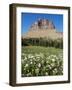 Logan Pass, Glacier National Park, Montana, United States of America, North America-James Hager-Framed Photographic Print