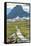 Logan Pass - Glacier National Park, Montana-Lantern Press-Framed Stretched Canvas