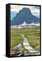 Logan Pass - Glacier National Park, Montana-Lantern Press-Framed Stretched Canvas