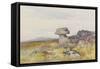 Logan Stone, Rippon Tor , C.1895-96-Frederick John Widgery-Framed Stretched Canvas