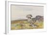 Logan Stone, Rippon Tor , C.1895-96-Frederick John Widgery-Framed Giclee Print