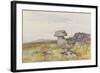 Logan Stone, Rippon Tor , C.1895-96-Frederick John Widgery-Framed Giclee Print