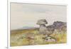 Logan Stone, Rippon Tor , C.1895-96-Frederick John Widgery-Framed Giclee Print