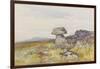 Logan Stone, Rippon Tor , C.1895-96-Frederick John Widgery-Framed Giclee Print