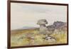 Logan Stone, Rippon Tor , C.1895-96-Frederick John Widgery-Framed Giclee Print