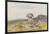 Logan Stone, Rippon Tor , C.1895-96-Frederick John Widgery-Framed Giclee Print