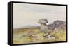 Logan Stone, Rippon Tor , C.1895-96-Frederick John Widgery-Framed Stretched Canvas