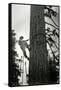 Logger Climbing Tree, ca. 1947-K.S. Brown-Framed Stretched Canvas