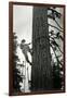 Logger Climbing Tree, ca. 1947-K.S. Brown-Framed Giclee Print