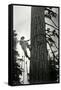 Logger Climbing Tree, ca. 1947-K.S. Brown-Framed Stretched Canvas