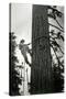 Logger Climbing Tree, ca. 1947-K.S. Brown-Stretched Canvas