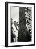 Logger Climbing Tree, ca. 1947-K.S. Brown-Framed Giclee Print