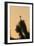 Loggerhead Shrike (Lanius ludovicianus) adult, Joshua Tree-David Tipling-Framed Photographic Print
