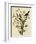 Loggerhead Shrike-null-Framed Giclee Print