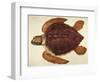 Loggerhead Turtle, 1585-John White-Framed Giclee Print