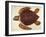 Loggerhead Turtle, 1585-John White-Framed Giclee Print