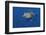 Loggerhead Turtle (Caretta Caretta) with a Shoal of Pilot Fish (Naucrates Ductor) Azores, Portugal-Lundgren-Framed Photographic Print