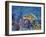 Loggerhead Turtle-Lucy P. McTier-Framed Giclee Print