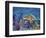 Loggerhead Turtle-Lucy P. McTier-Framed Giclee Print