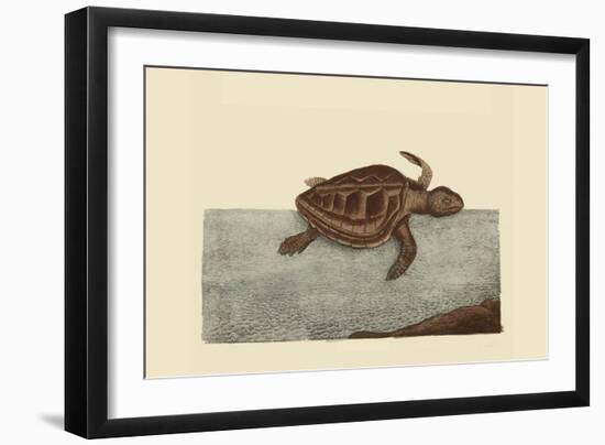 Loggerhead Turtle-Mark Catesby-Framed Art Print