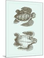 Loggerhead Turtles I-null-Mounted Art Print