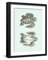 Loggerhead Turtles I-null-Framed Art Print