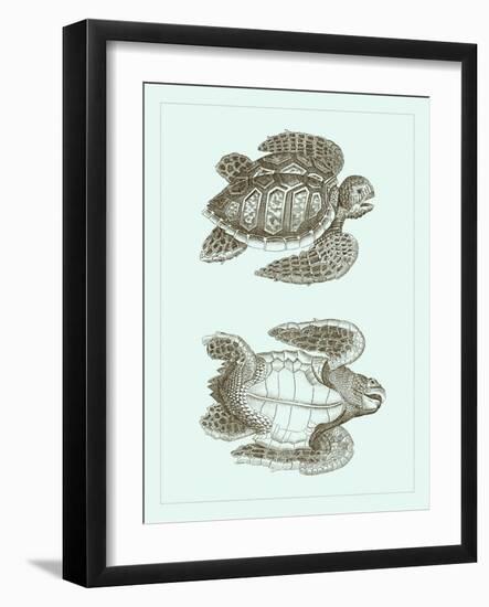 Loggerhead Turtles I-null-Framed Art Print