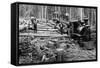 Loggers and Logging Locomotive-null-Framed Stretched Canvas