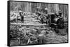 Loggers and Logging Locomotive-null-Framed Stretched Canvas