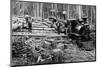 Loggers and Logging Locomotive-null-Mounted Photographic Print