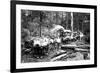 Loggers and Their Logs-Clark Kinsey-Framed Premium Giclee Print